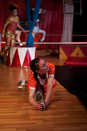 "BARNUM": The Cirque Musical
