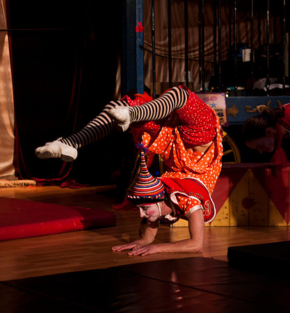 "BARNUM": The Cirque Musical