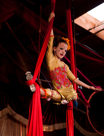"BARNUM": The Cirque Musical