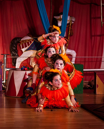 "BARNUM": The Cirque Musical
