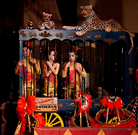 "BARNUM": The Cirque Musical