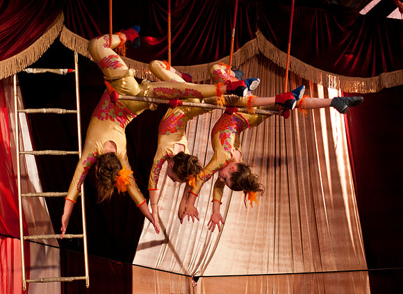 "BARNUM": The Cirque Musical