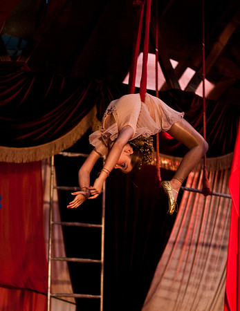 "BARNUM": The Cirque Musical