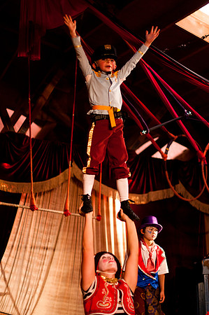 "BARNUM": The Cirque Musical