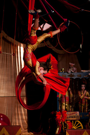 "BARNUM": The Cirque Musical