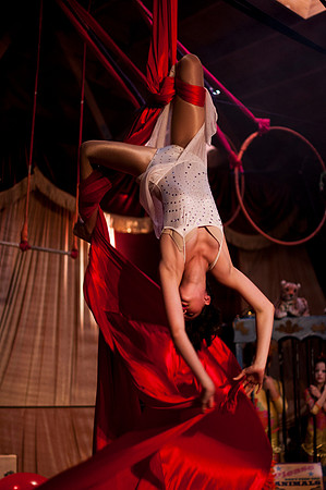 "BARNUM": The Cirque Musical