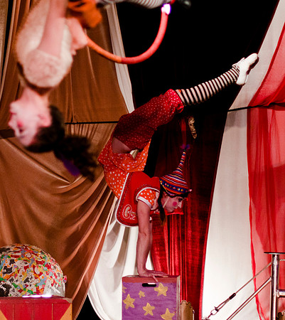"BARNUM": The Cirque Musical