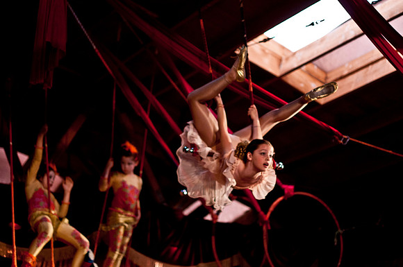 "BARNUM": The Cirque Musical