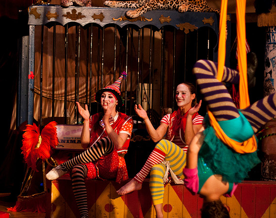 "BARNUM": The Cirque Musical