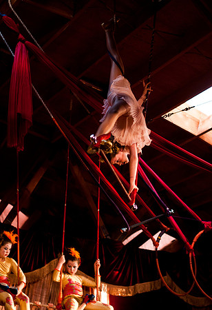 "BARNUM": The Cirque Musical